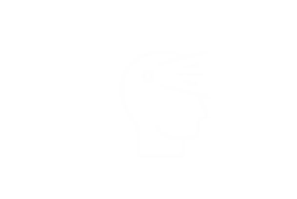 Icon 3